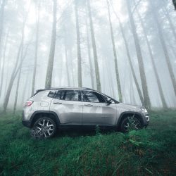 pexels-julio-nery-1687147